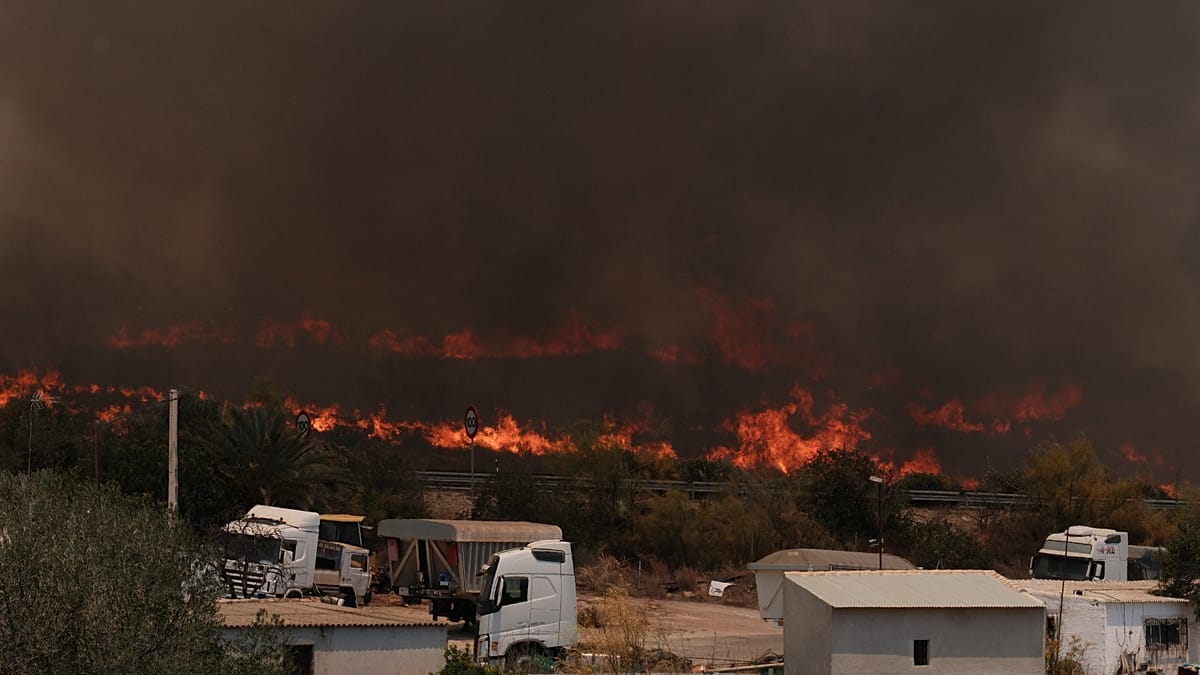 Wildfires Rage Across Aragon and Castilla-La Mancha, Destroying Over 15,400 Hectares