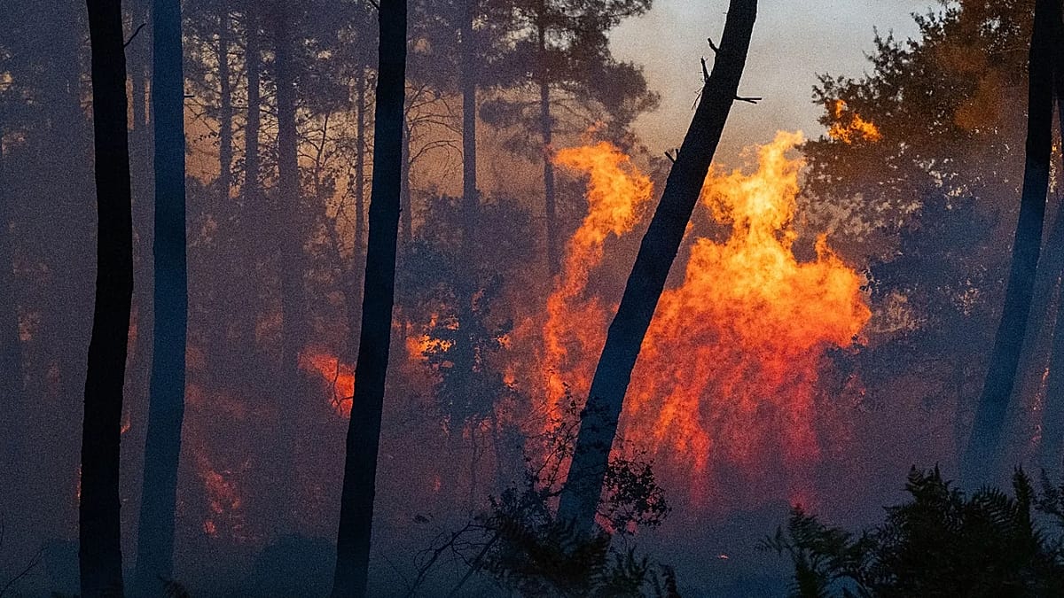 Wildfires Rage Across Southern Europe as Spain Declares Emergency Near Madrid
