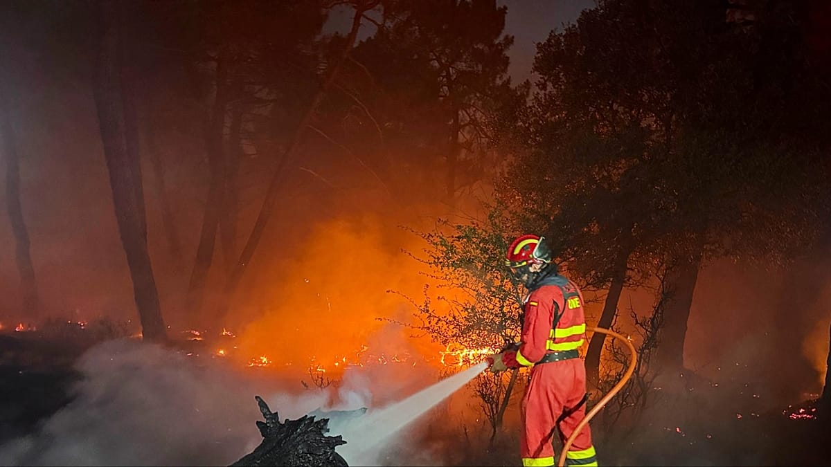 Zaragoza Wildfire Becomes Spain's Largest This Year, Burning 12,000 Hectares