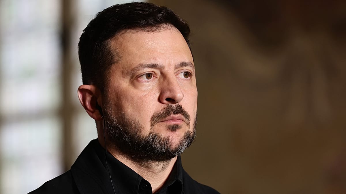 Zelenskyy Urges EU to Keep Usmanov and Fridman Sanctioned as Deadline Nears